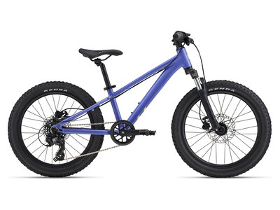2025 LIV STP 20 FS
