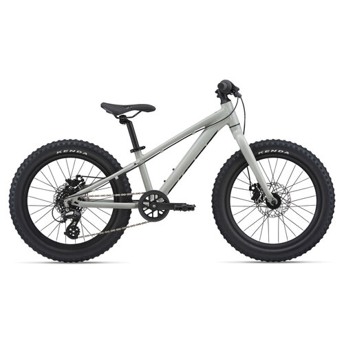 GIANT 2022 GIANT STP 20 GIANT 2022 GIANT STP 20