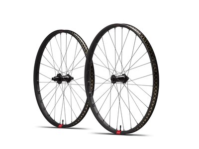RESERVE Roues 30 SL 29 DT350 110 XD 6b
