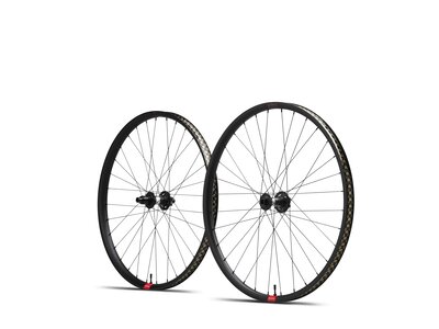RESERVE Roues 30 SL AL 29 DT350 110 MS 6b