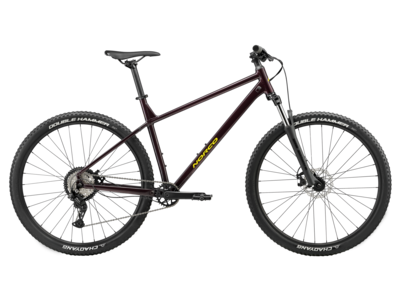 2025 NORCO Storm