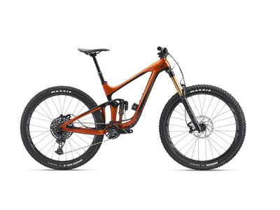 GIANT Reign ADV Pro 29 1
